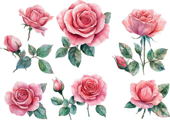 seamless pattern with pink roses