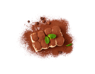 Elegant tiramisu dessert dusted with rich cocoa powder garnished with fresh mint and coffee beans.