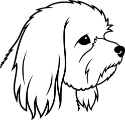 Maltese dog head side profile outline icon vector
