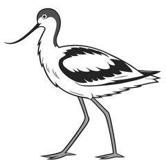 stork on a white background