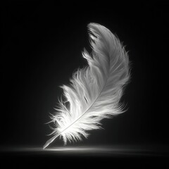 Obraz premium Illuminated feather on a dark background