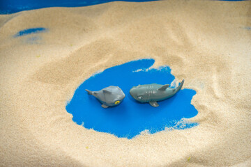 The concept of psychology. Sand therapy. Figures
of two sharks on the sand in a blue sandbox.
Psychology. Therapy. POST-traumatic
stress. Confrontation. Aggression.