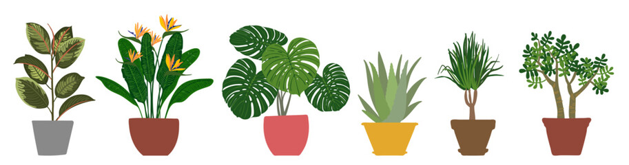 Set of Potted Houseplants – Flat Vector Illustration of Indoor Plants Collection