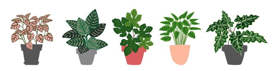 Set of Potted Houseplants – Flat Vector Illustration of Indoor Plants Collection