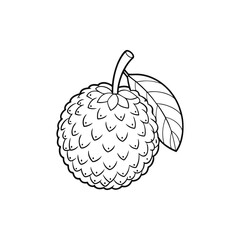 vector illustration of a fruit