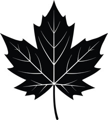 vector leaf silhouette