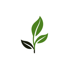 Green leaf icon, vector Illustration