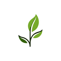 Green leaf icon, vector Illustration