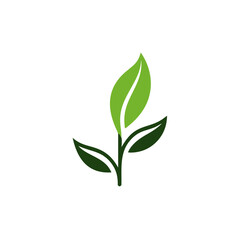Fototapeta premium Green leaf icon, vector Illustration