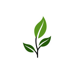 Fototapeta premium Green leaf icon, vector Illustration