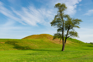 Cahokia Mounds State Historic Site