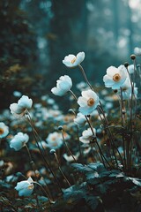 Delicate White Flowers In Garden