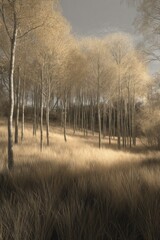 Golden Autumn Forest Path