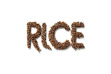 Minimalist vector of the word “RICE” on a white background.  The letters are made of rice grains .