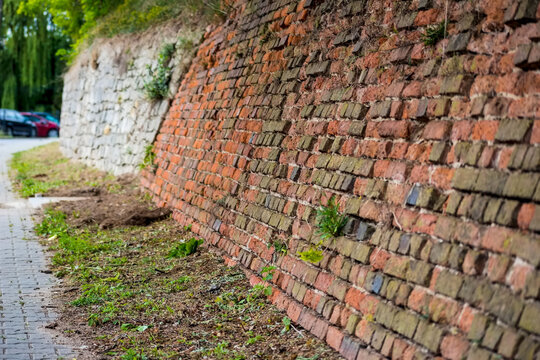 Fototapeta Stary, zabytkowy mur oporowy z cegły (mur oporowy chroniący skarpę) – urokliwa uliczka w mieście (Ostrowiec Św.). Rustykalny mur oporowy z cegły na ulicy, wykonany z postarzanych, nierównych cegieł .
