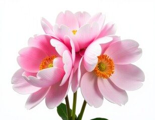 Fototapeta premium A close-up shot of a pink flower in a decorative vase