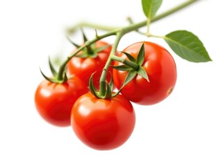 Fresh tomatoes growing on a vine with lush green leaves, great for food or decoration