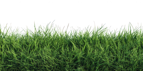 Realistic Green Grass Field PNG – Isolated on Transparent Background for Landscape Design, Nature Projects, and Outdoor Scene Creators