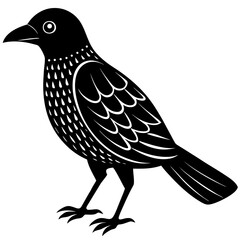 Conceptual Vector Design of Bowerbird