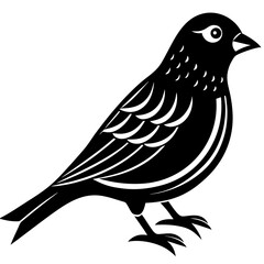 Conceptual Vector Design of Finch 1