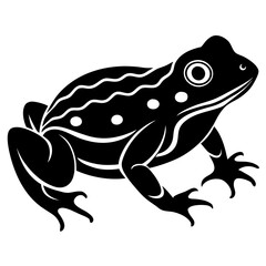 Conceptual Vector Design of Fire Bellied Toad