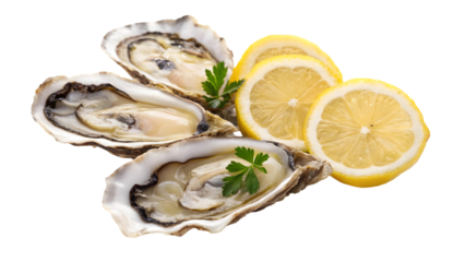 oysters with lemon isolated on white backgroud