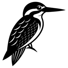 Conceptual Vector Design of Kingfisher