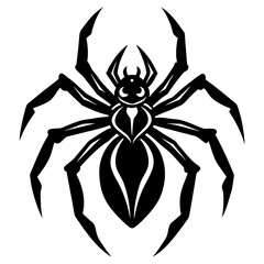 Conceptual Vector Design of Spider