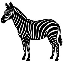 Conceptual Vector Design of Zebra
