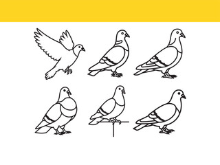 A collection of pigeon bird icons in various poses, including flying, standing, and perching. Simple black outline vector illustrations set.