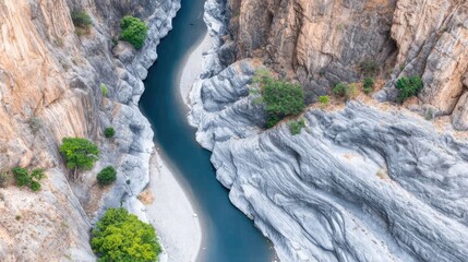 A canyon with a winding river carving through it, deep shadows, layers of rock strata, geological majesty, birds flying overhead 