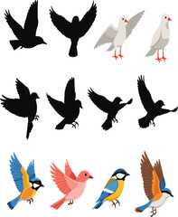 Colorful and silhouette birds in flight and perched, illustrated collection for nature, wildlife, ornithology, design, and educational projects