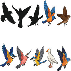 Colorful birds in flight, silhouette bird illustration, diverse avian species, nature and wildlife theme, vibrant plumage, vector design art