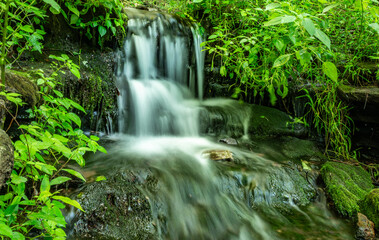 Small waterfall in lush forest with moss-covered rocks – Ozarks, Arkansas