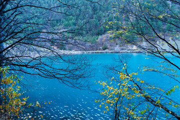 A beautiful lake in Banff National Park