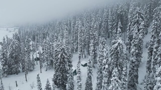 Drone view of Gulmarg in winter, covered in fresh snow with mountains and pine trees all around.