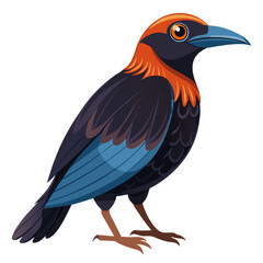 Obraz premium vector illustration of a bird isolated on white