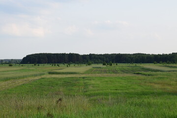 Scenic rural landscapes with meadows, fields, and dramatic skies. Natural countryside views of agriculture, forests, and changing weather