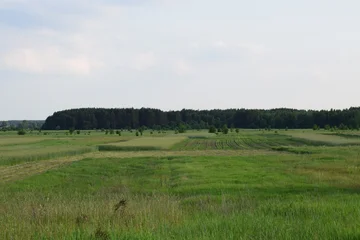 Tableau sur plexiglas Prairie, marais Scenic rural landscapes with meadows, fields, and dramatic skies. Natural countryside views of agriculture, forests, and changing weather  © Natul'ka