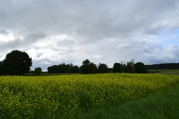 Stickers Weide Scenic rural landscapes with meadows, fields, and dramatic skies. Natural countryside views of agriculture, forests, and changing weather  © Natul'ka