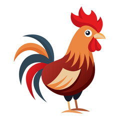 rooster isolated on white background