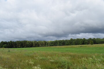 Obraz premium Scenic rural landscapes with meadows, fields, and dramatic skies. Natural countryside views of agriculture, forests, and changing weather
