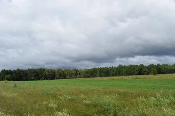 Stickers Weide Scenic rural landscapes with meadows, fields, and dramatic skies. Natural countryside views of agriculture, forests, and changing weather  © Natul'ka
