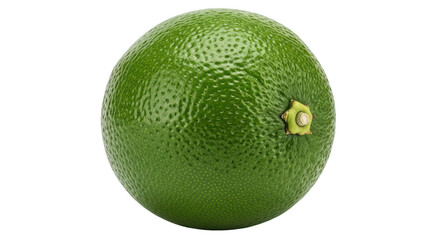 Isolated Lime
