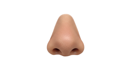 Isolated Human Nose