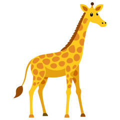 Fototapeta premium giraffe isolated on white background