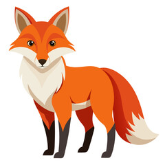 Obraz premium fox cartoon isolated on white
