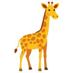 Obraz premium giraffe isolated on white background