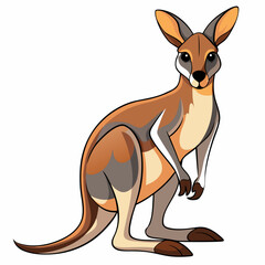 illustration of a kangaroo