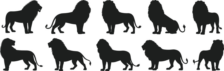 Lion Silhouettes Collection, Black Vector Icons, Wild Animal Graphics, Majestic Pose Design, Mane Variations, Adobe Stock Illustration, Safari Wildlife Art